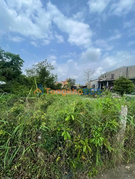 Đất nền Trà Đốc 136m² 1,052 tỷ - Đường ô tô rộng