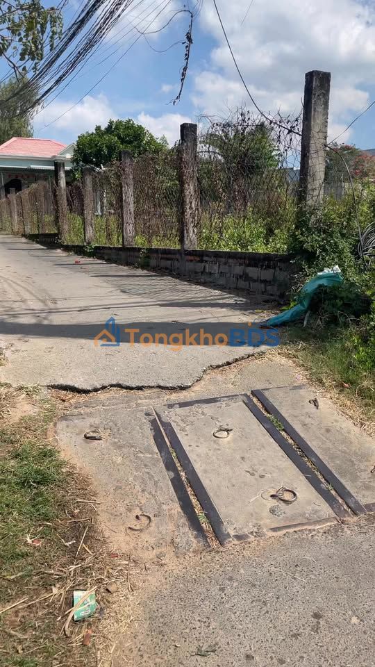 Đất nền Nguyễn Thông Phan Thiết 480m² - Đường to ô tô