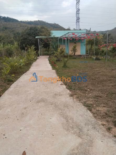 Đất vườn Hàm Trí 3.600m2 950 triệu - Đầu tư dài hạn