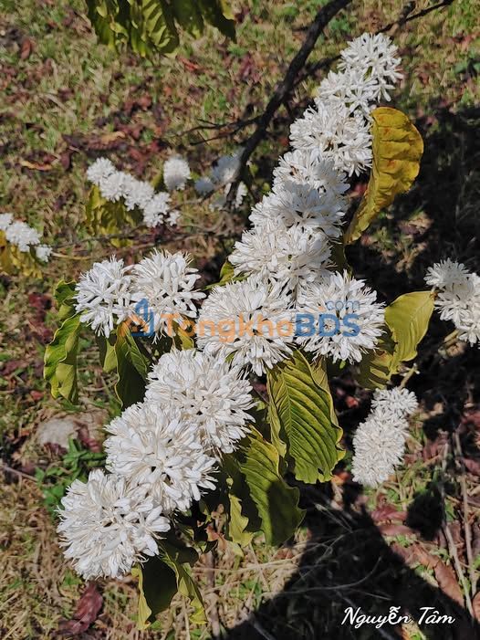 Cần thông tin tiện ích cụ thể