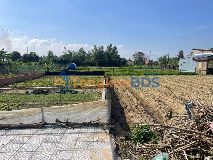 Đất nền Điện An 146m² 1,5 tỷ - Sổ đỏ chính chủ