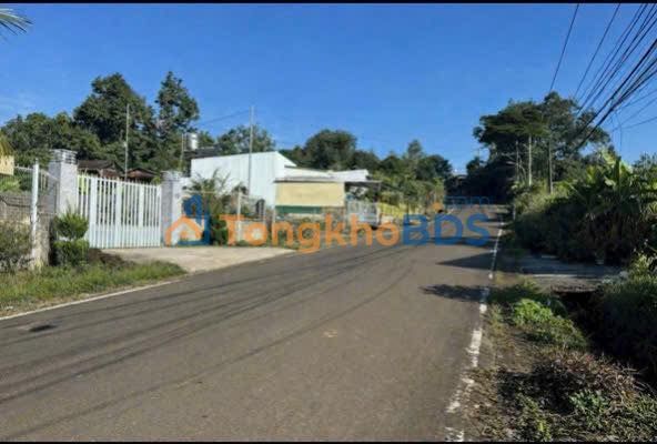 Đất nền Đinh Công Tráng Bảo Lộc 251m² 1,68 tỷ - Sổ đỏ chính chủ