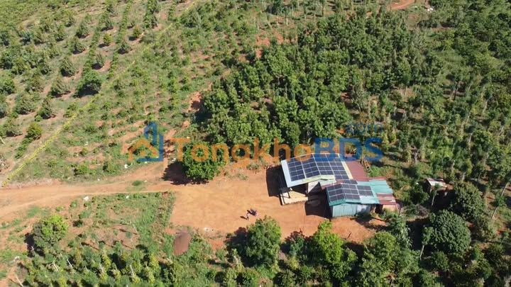 Đất vườn Đắk Song 3,7ha 4 tỷ - Đường to ô tô