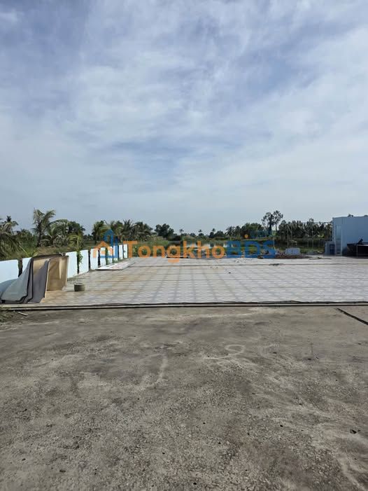 Đất nền Ấp Thọ Mai Cà Mau 9500m² 3,95 tỷ - Đường to ô tô