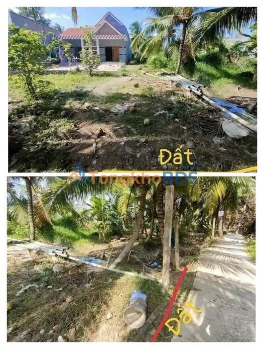 Đất nền Tam Phước Châu Thành 365m² 690 triệu - Đường to ô tô