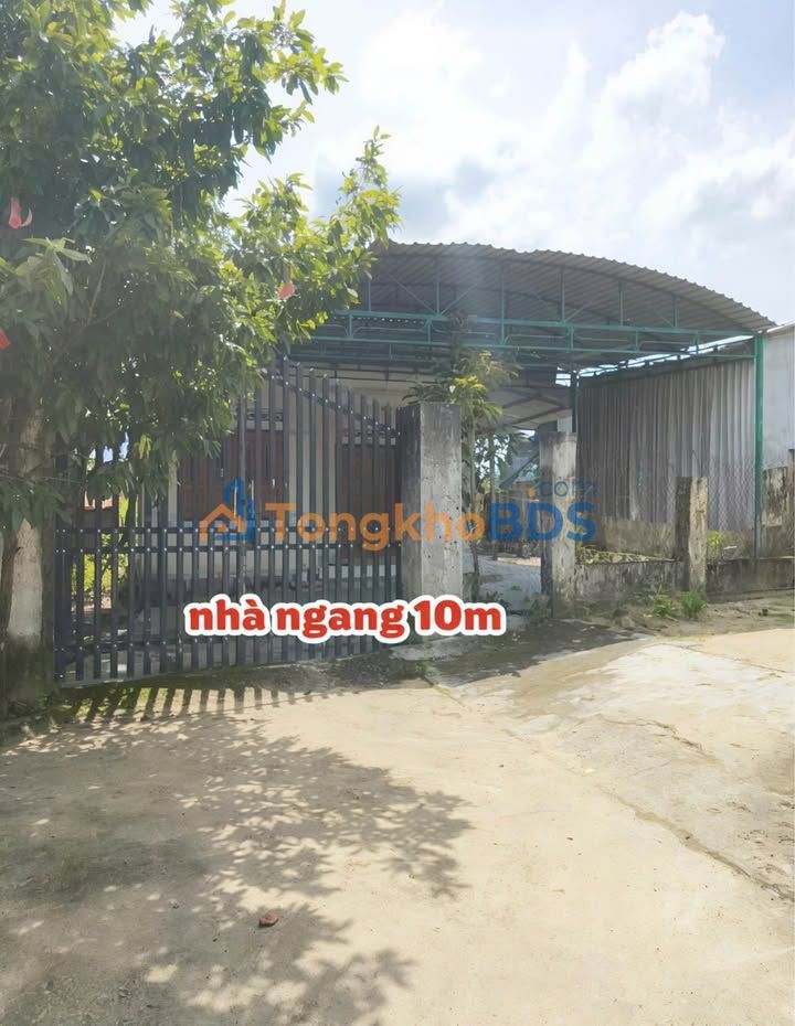 Đất nền Suối Tân Cam Lâm 241m² 1.35 tỷ - Sổ đỏ chính chủ