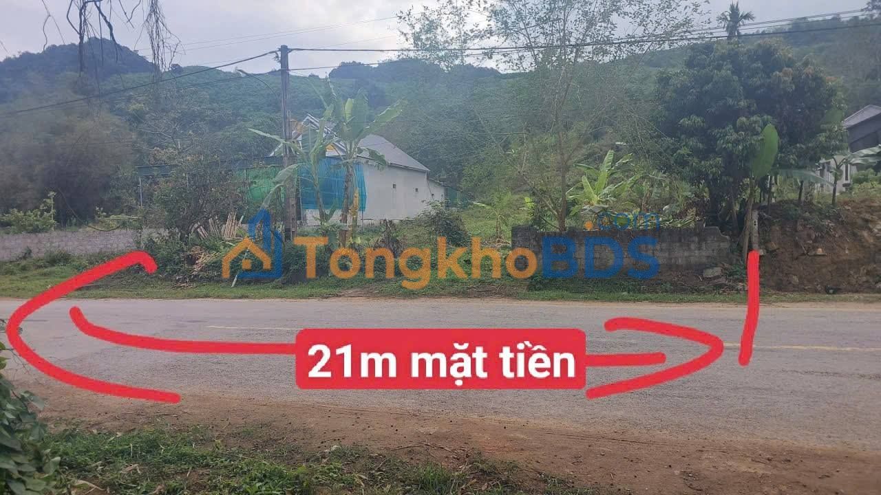 Đất nền Như Thanh 1.300m² giá 2 tỷ - Đường to ô tô