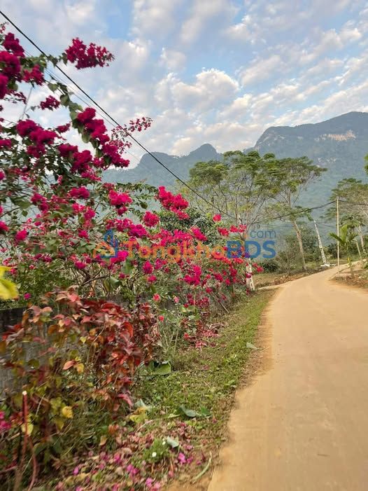 Đất nền Phường Trần Phú Hà Giang 380m² giá 100 triệu - Giá F0 CĐT