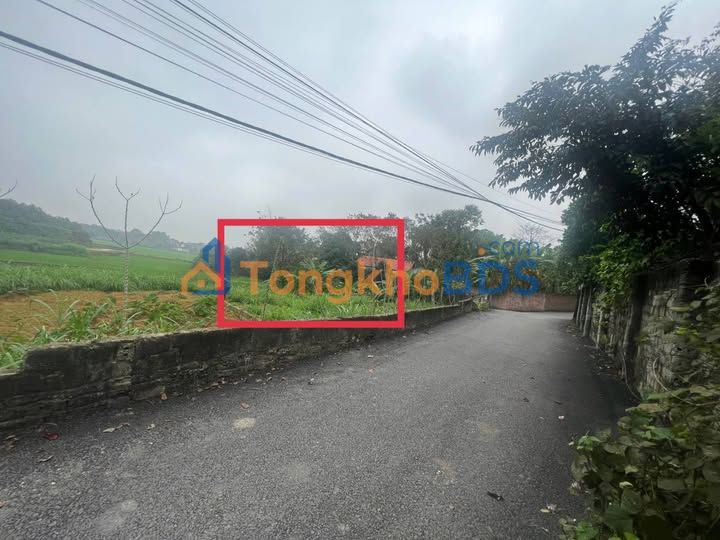 Đất nền Quang Trung Tam Dương 104m² giá 4xxtr - Sổ đỏ sẵn, đầu tư dễ dàng