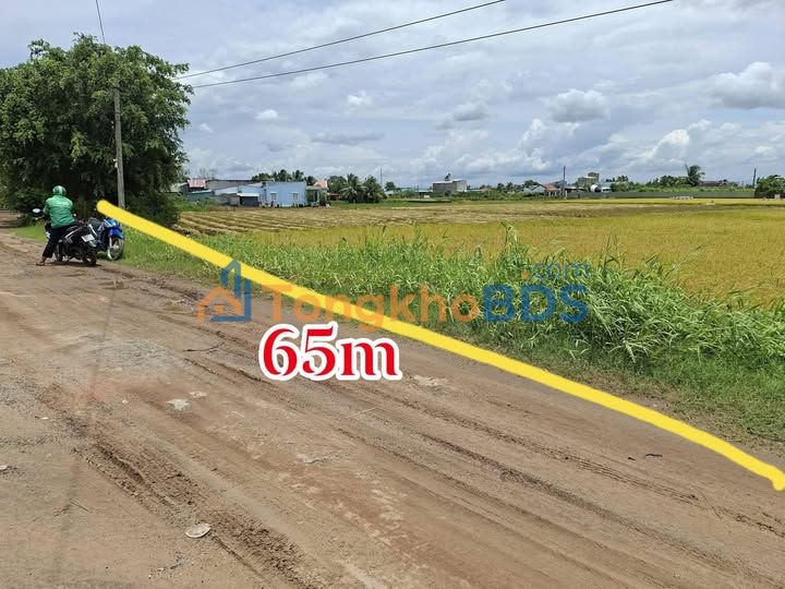 Đất nền Tân Trạch Mỹ Lệ 8650m² 13,5 tỷ - Đường to ô tô