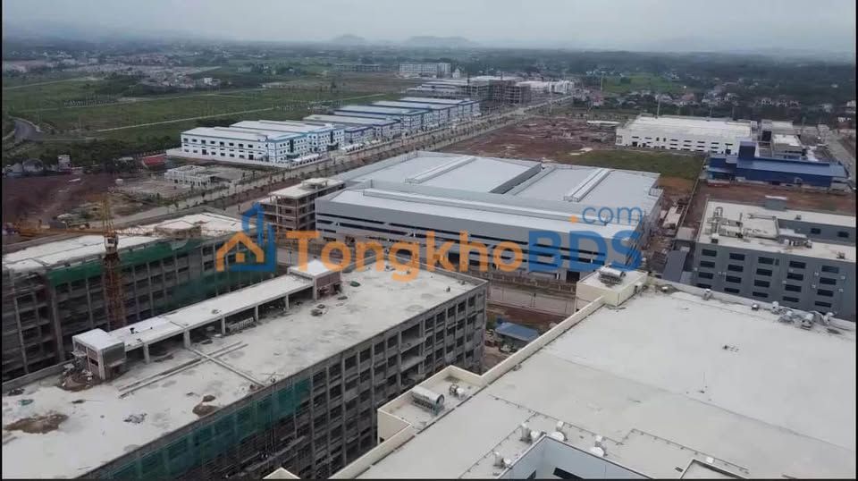 Bán Đất Vĩnh Thạnh Long An 100m² - Sổ hồng vuông vắn, giá 1.8 tỷ