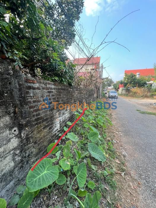 Bán đất Thượng Lan, Việt Yên 127m² - Sổ đỏ chính chủ, giá 1 tỷ