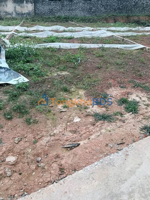 Đất Nền Tân Yên, Bắc Giang 100m² - Sẵn Sàng Đầu Tư Lâu Dài