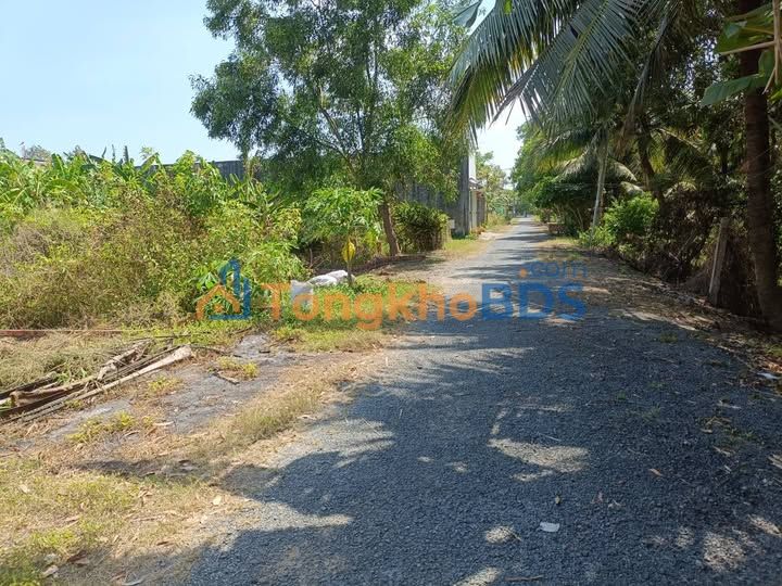 Đất nền Trà Vinh 115m² dưới 500tr - Tiềm năng trọ công nhân