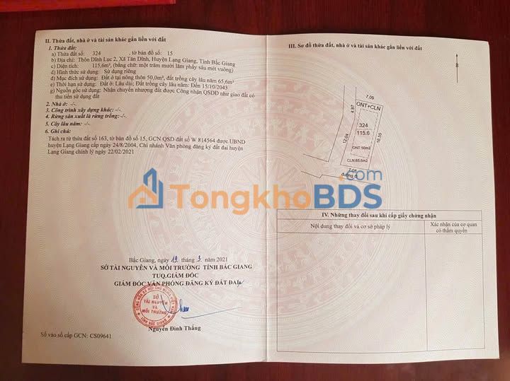 Đất nền Tân Dĩnh Lạng Giang 100m² - Sổ đỏ chính chủ