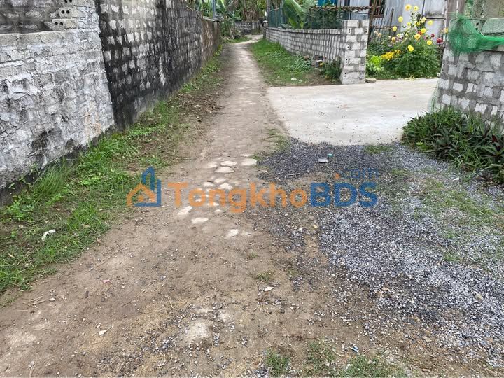 Đất nền Hải Lĩnh 125m² 3xx triệu - Tiềm năng tăng giá