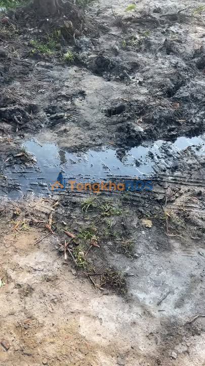 Đất vườn Thọ Quang 1.000m² 2 tỷ - Sinh thái xanh ven biển