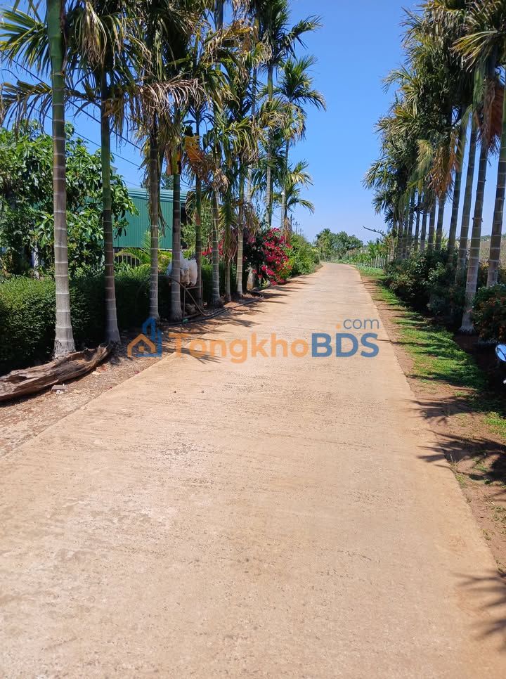 Đất nền Thuận An Đắk Mil 360m² 1.2 tỷ - Sổ đỏ chính chủ