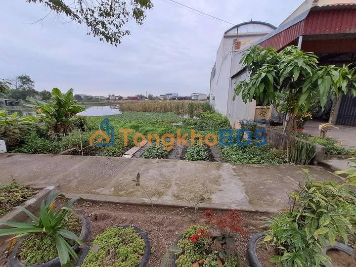 Bán Đất Nền 100m² Phường Quảng Phú, Nghi Sơn - Sổ Đỏ Sẵn Sàng