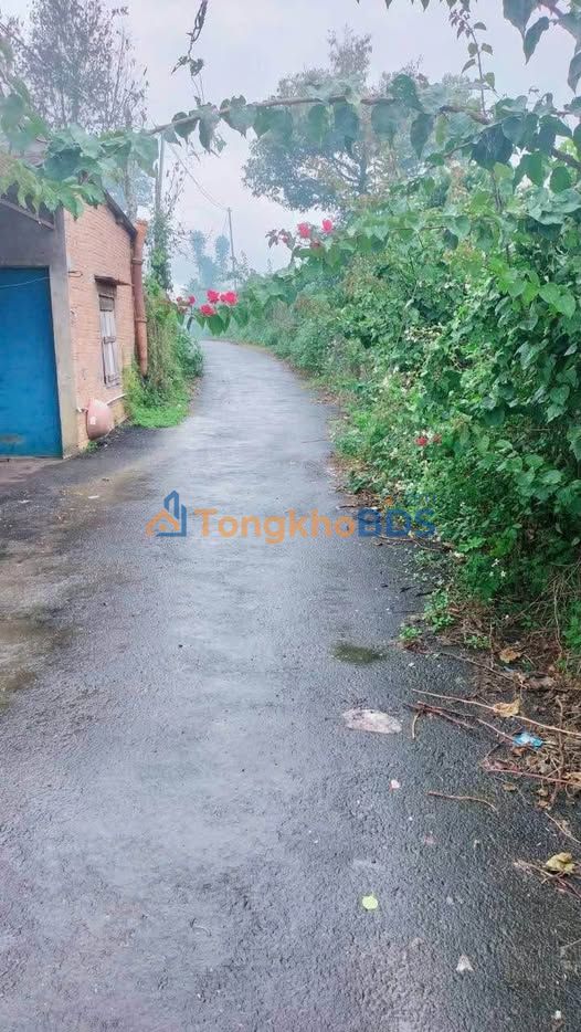 Đất Nền Tân Lạc, Bảo Lâm - 455m² Mặt Tiền Nhựa, Sổ Sẵn 1.7 Tỷ