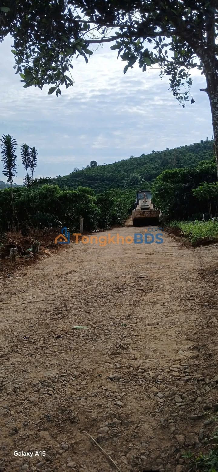 Đất vườn P2 Bảo Lộc 792m2 1.15 tỷ - Sinh thái xanh