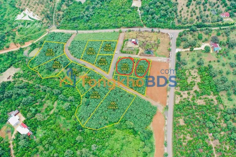 Đất nền Tân Lạc Bảo Lâm 2000m² 1.4 tỷ - Tiềm năng tăng giá