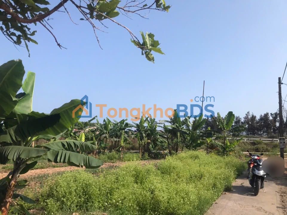 Đất nền Hải Chính Hải Hậu 610m² - Đường ô tô, tiềm năng