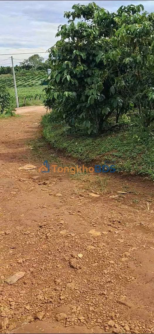 Đất nền Bảo Lộc 4.149m² 11.525 tỷ - Sổ đỏ chính chủ