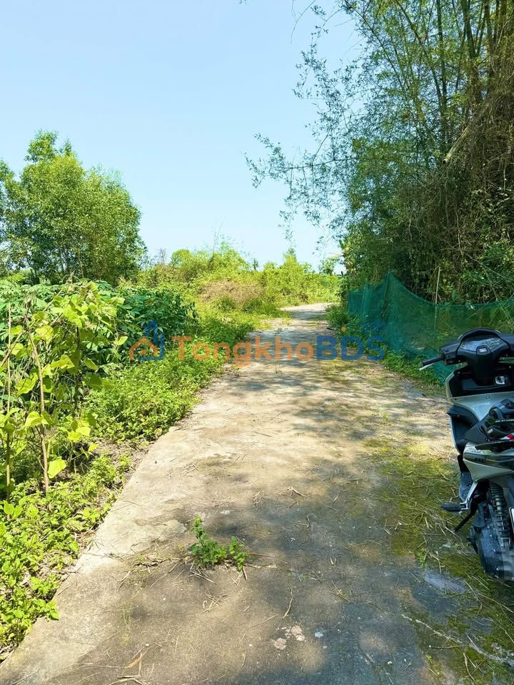 Đất nền Bình Quý Thăng Bình 307m² 300tr - Hạ tầng hoàn thiện