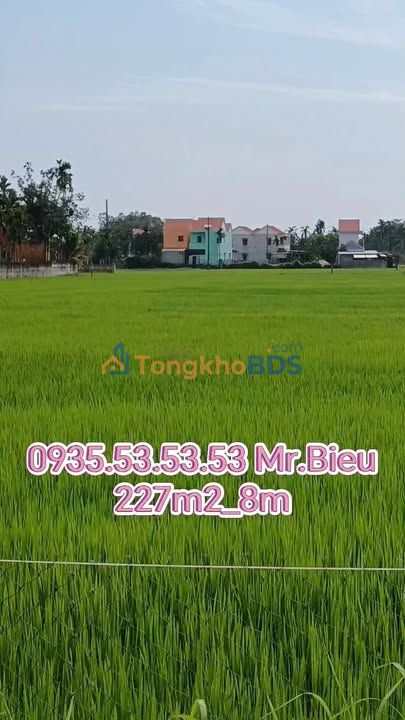 Đất nền Thanh Hà Hội An 227m² giá thương lượng – Sổ đỏ chính chủ, xây tự do
