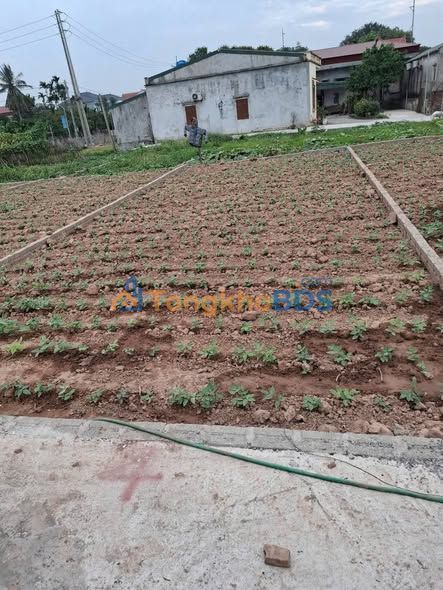 Đất Nền Vân Kênh Hà Nam 78m² - Sổ Thổ Cư, Giá Hơn 800 Triệu