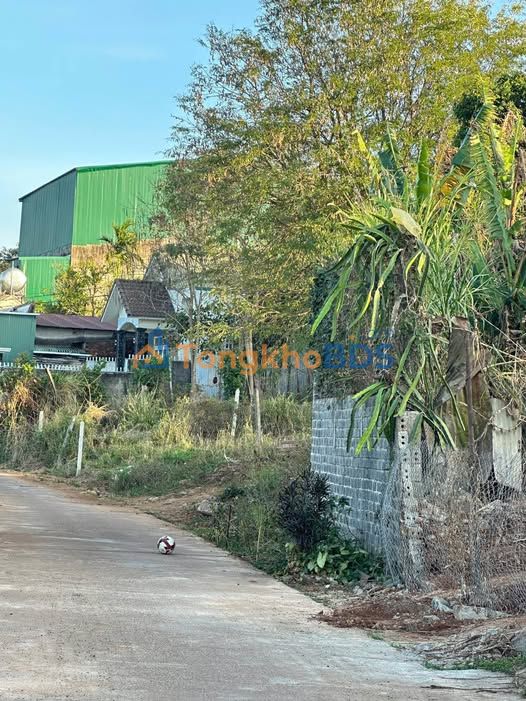 Đất thổ cư Ea Ral 160m² 26.4 tỷ - Sổ đỏ chính chủ