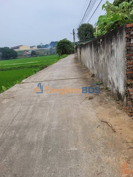 Nhà riêng Kim Đức Việt Trì 91m²/1,8 tỷ - Giá tốt hiếm có