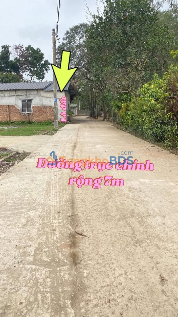 Đất nền Tam Dương 100,8m² 7xx triệu - Pháp lý rõ ràng