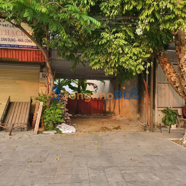 Đất nền Vĩnh Tường 100m² 0.45 tỷ - Gần quảng trường