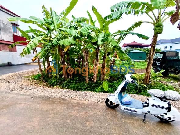 Đất Tứ Giáp Duy Hải 101m² thỏa thuận - Sổ đỏ chính chủ