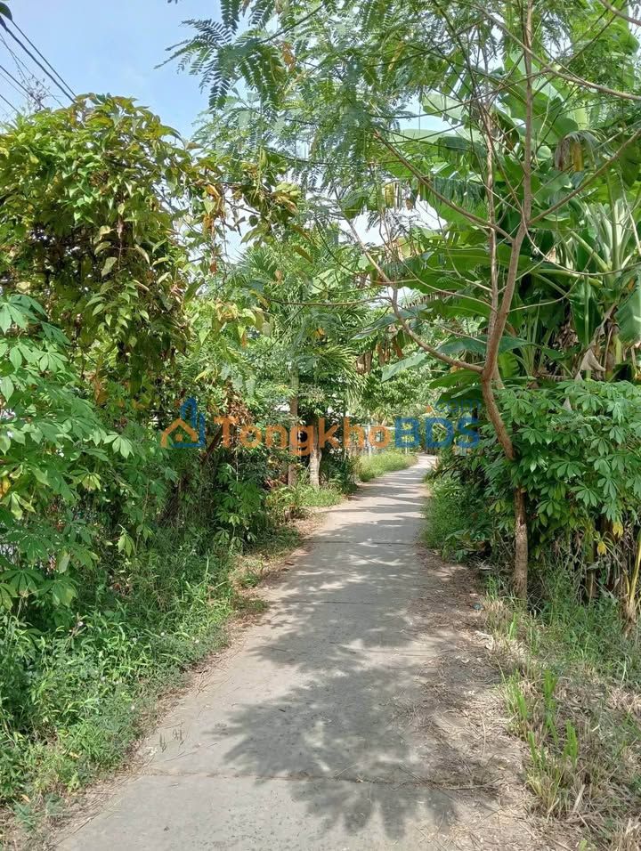 Đất nền Bình Minh 99m² 600-699tr - Sổ đỏ chính chủ