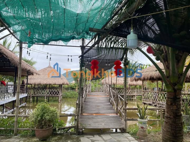 Shophouse Phước Hải 2000m² 120 triệu - Mặt tiền KD