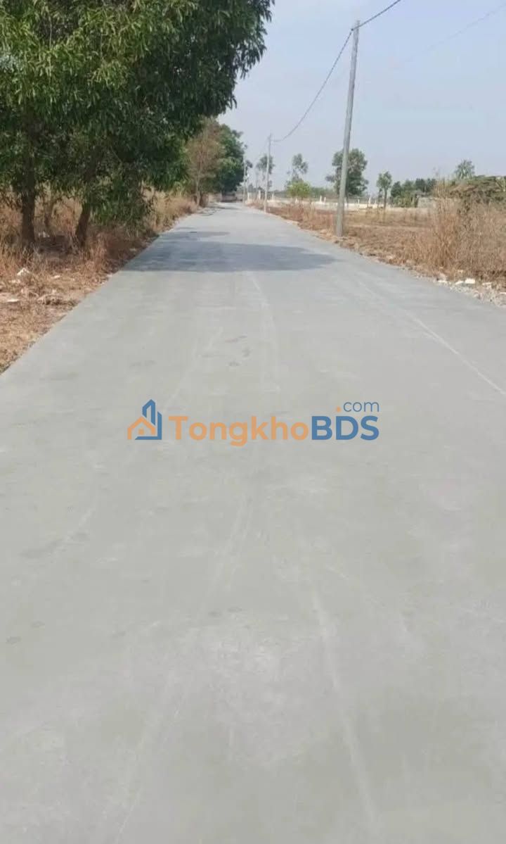 Đất nền Tân Triều Thanh Trì 80m² 250 triệu - Tiềm năng tăng giá