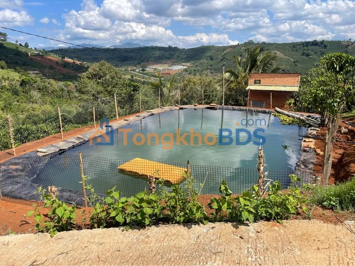 Farm Đạ Lây Lâm Đồng 1ha 4.5 tỷ - Đầu tư dài hạn