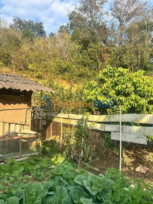 Đất Nền Ngọc Xuân 192m² Sổ Đỏ Sẵn Sàng - Oto Đỗ Cửa Chỉ 1.x Tỷ