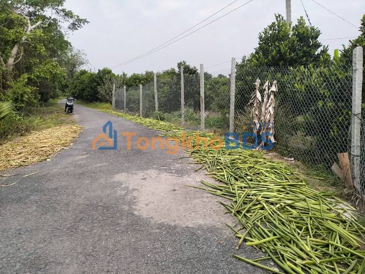 Bán Gấp Đất Vườn 3059m² Vĩnh Long - Trồng Sầu Riêng, Mít Trái Sẵn