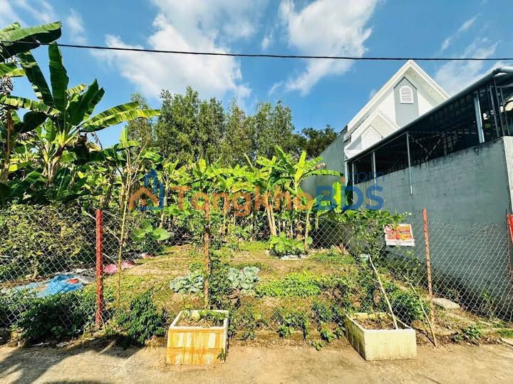 Đất nền Vĩnh Long P3 121m² 1.6 tỷ - Thổ cư 100%