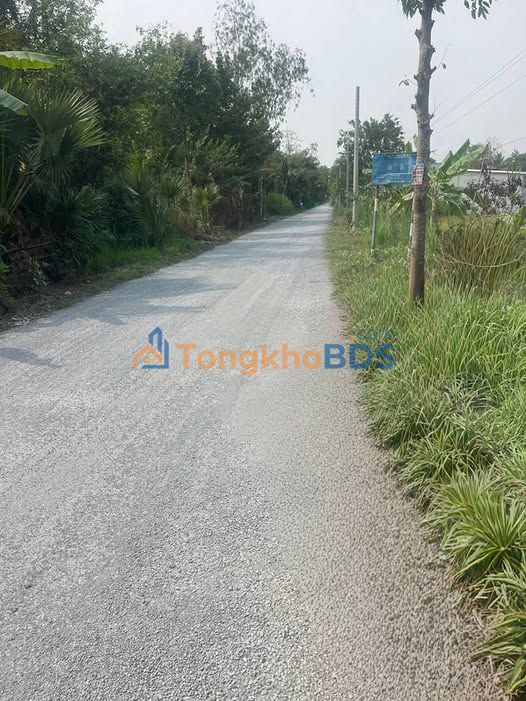 Đất nền Loan Mỹ Tam Bình 9.500m² 1,425 tỷ - Tiềm năng tăng giá