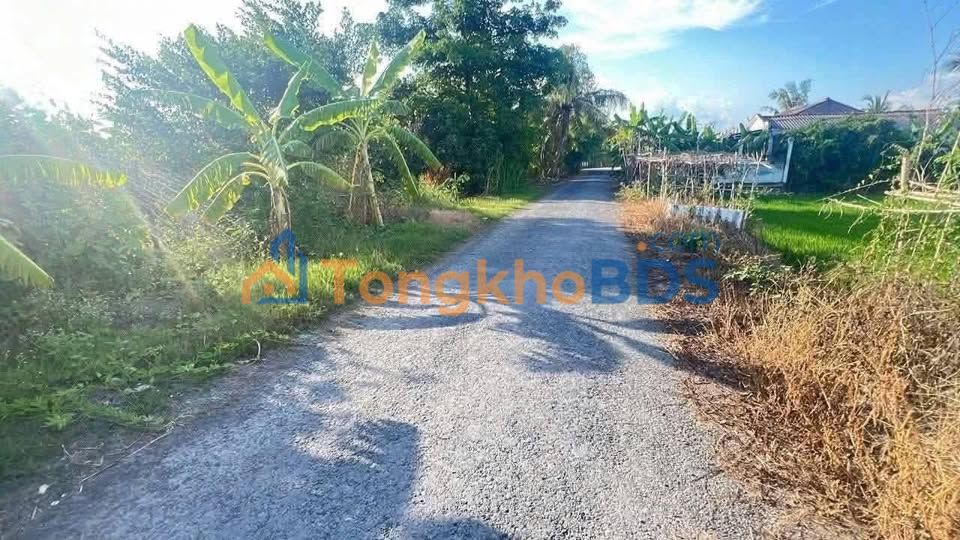 Đất nền Mỹ Thuận Vĩnh Long 7750m² 3,8 tỷ - Đường to ô tô