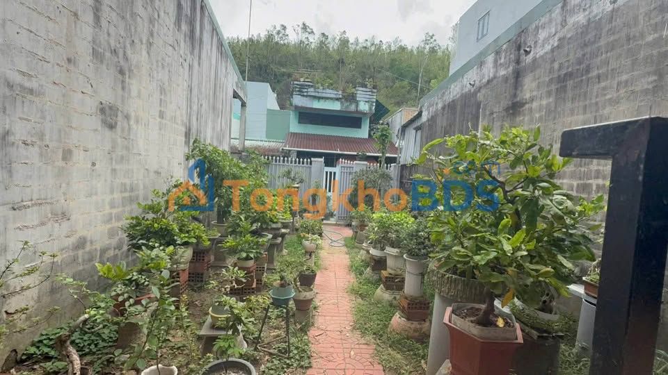 Đất nền Quy Nhơn 60m2 2.2 tỷ - Tiềm năng tăng giá