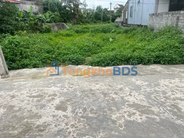 Đất nền Kim Liên Nam Đàn 146m² 2 tỷ - Đường to ô tô