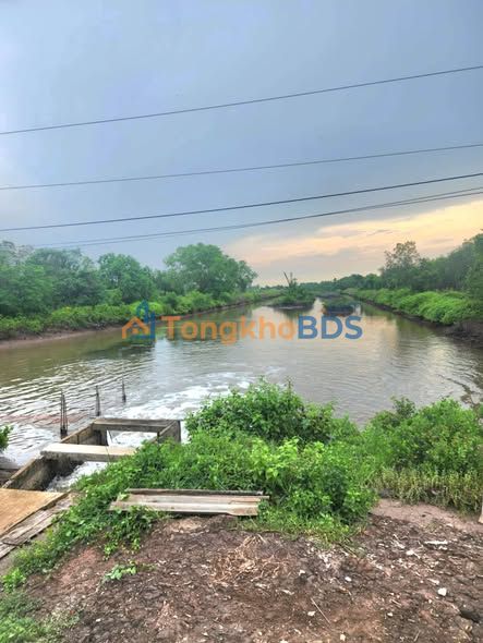 Bán đất 32490m² Cà Mau - Sổ xanh, mặt lộ xi măng - Giảm giá sâu