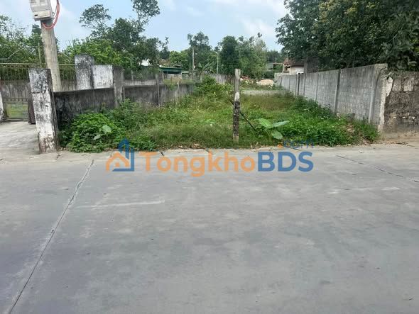 Đất nền Kim Liên Nam Đàn 160m² 2 tỷ - Giá tốt hiếm có