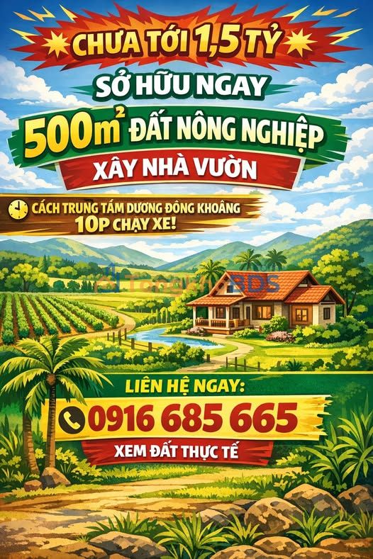 Đất nền Dương Đông 500m² dưới 1,5 tỷ - Tiềm năng tăng giá